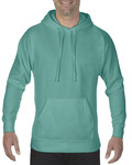 comfort colors 1567 adult hooded sweatshirt Front Thumbnail