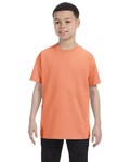 Hanes 54500 Youth Authentic-T T-Shirt Front Thumbnail
