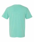 Comfort Colors C1717 Adult Heavyweight T-Shirt Back Thumbnail