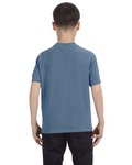 Comfort Colors C9018 Youth Midweight T-Shirt Back Thumbnail