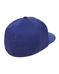 Flexfit 6210T Adult Premium 210 Fitted® Flat Visor Cap Back Thumbnail