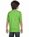 Gildan G800B Youth 50/50 T-Shirt Back Thumbnail