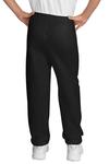 Port & Company PC90YP Youth Core Fleece Sweatpant Back Thumbnail