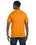 hanes 5250t men's authentic-t t-shirt Back Thumbnail