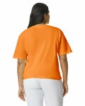 comfort colors c1717 adult heavyweight t-shirt Back Thumbnail