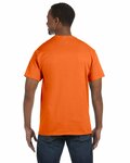 Hanes 5250T Men's Authentic-T T-Shirt Back Thumbnail