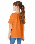 Hanes 5480 Youth Essential-T T-Shirt Back Thumbnail