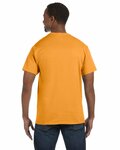 Hanes 5250T Men's Authentic-T T-Shirt Back Thumbnail