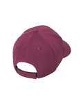 Team 365 ATB100 by Flexfit Adult Cool & Dry Mini Pique Performance Cap Back Thumbnail
