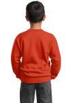 Port & Company PC90Y Youth Core Fleece Crewneck Sweatshirt Back Thumbnail