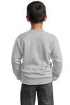 Port & Company PC90Y Youth Core Fleece Crewneck Sweatshirt Back Thumbnail