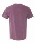 Comfort Colors C1717 Garment-Dyed Heavyweight T-Shirt Back Thumbnail