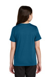 Port & Company PC390Y Port & Co ™ Youth Heather Performance Tee Back Thumbnail