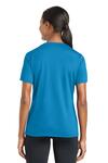 Sport-Tek LST340 Ladies PosiCharge ® RacerMesh ® V-Neck Tee Back Thumbnail