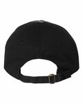 Valucap VC300A Adult Bio-Washed Classic Dad’s Cap Back Thumbnail