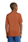 Sport-Tek YST350 Youth PosiCharge ® Competitor™ Tee Back Thumbnail