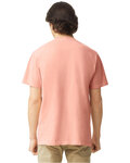 comfort colors c1717 adult heavyweight t-shirt Back Thumbnail