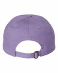 Valucap VC300A Adult Bio-Washed Classic Dad’s Cap Back Thumbnail
