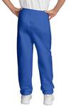 Port & Company PC90YP Youth Core Fleece Sweatpant Back Thumbnail