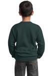 port & company pc90y youth core fleece crewneck sweatshirt Back Thumbnail