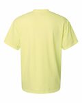 Comfort Colors C1717 Garment-Dyed Heavyweight T-Shirt Back Thumbnail