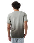 champion cd100d unisex classic jersey dip dye t-shirt Back Thumbnail