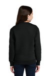 Port & Company PC78YPKT Port & Co ™ Youth Core Fleece Crewneck Pocket Sweatshirt Back Thumbnail