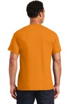 gildan g800 adult 50/50 t-shirt Back Thumbnail