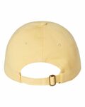 Valucap VC300A Adult Bio-Washed Classic Dad’s Cap Back Thumbnail