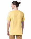 hanes 5280 adult essential short sleeve t-shirt Back Thumbnail