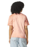 Comfort Colors 1745 Adult Heavyweight Color Blast T-Shirt Back Thumbnail